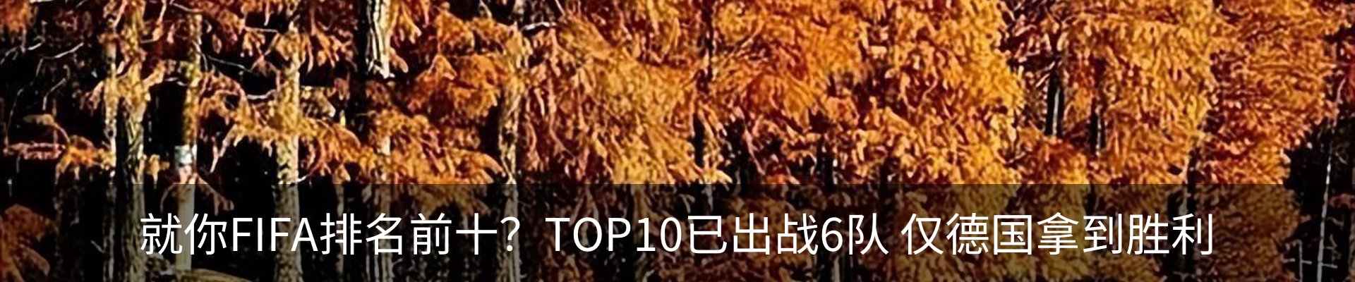 内页banner